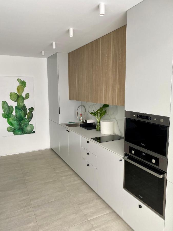 Caсtus Apartments 1 Ivano-Frankivsk Extérieur photo